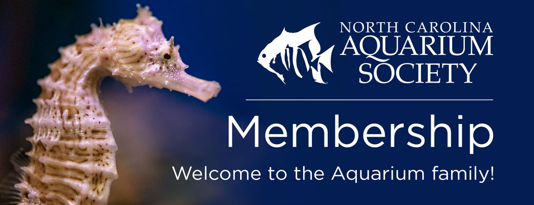 NC Aquarium Society Donation